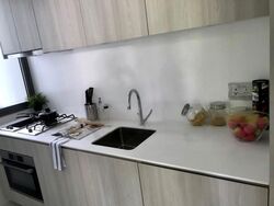 The Tembusu (D19), Condominium #441366791